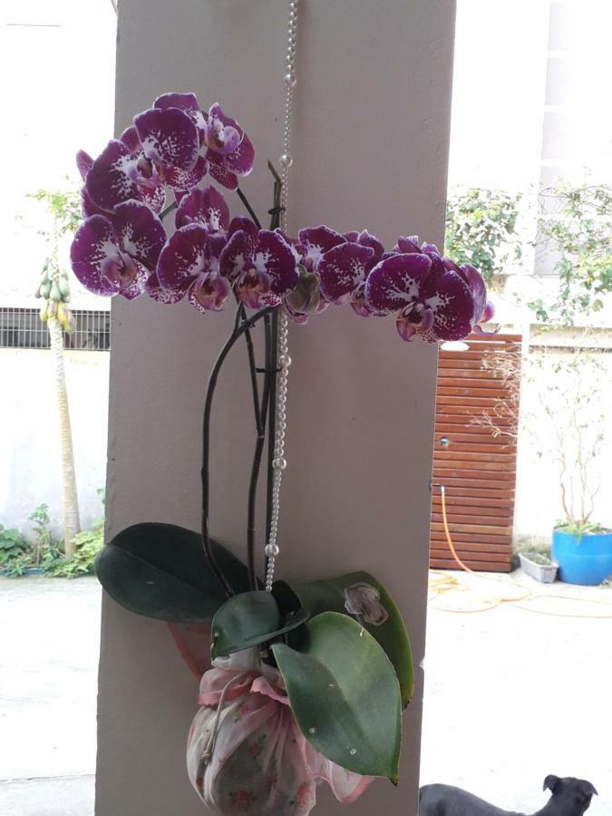 Recanto Ravi Apartamento *